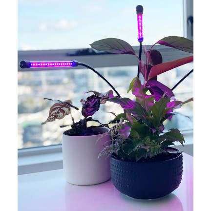 IM011 lampa pro růst rostlin a doplňkové osvětlení, 2ramenná, 40 LED, časovač + dálkové ovládání