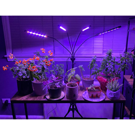 IM012 lampa pro pěstování rostlin a doplňkové osvětlení, velká, 4 panely, dálkové ovládání, časovač, stojan