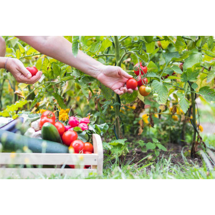 Hnojivo – koňský hnůj, granulované, přírodní, univerzální, Sumin, 8 l
