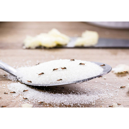 SUM17 prášek a granule proti mravencům, Sumin 1 kg, hubí mravence, ničí hnízda