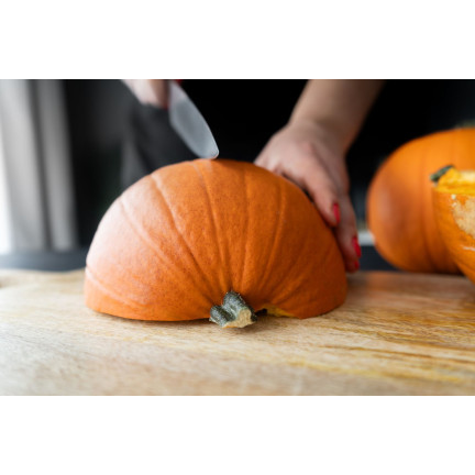 W1038 DÝNĚ GOLIAS CUCURBITA MAXIMA SEMENA PLODY DÝNĚ DO 30KG 4G
