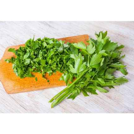 Z3017 LIBEČEK ZAHRADNÍ BYLINA SEMENO VYTRVALÉ KOŘENÍ AROMATICKÉ MAGI 1G