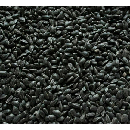 TUR5 černý Slunečnicová semínka, krmivo, směs pro ptáky na zimu, 1 kg