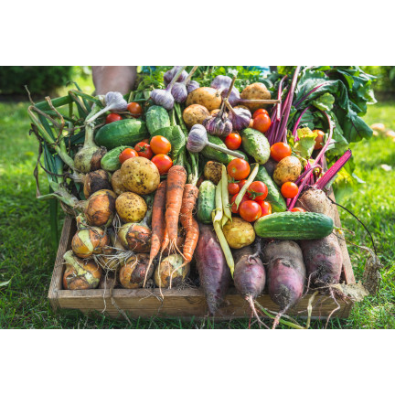 Organické hnojivo pro zeleninu a rajčata, přírodní, BIO, granulát, Biovita 3 kg
