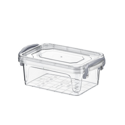 HOB021046 Plastová dóza na potraviny MULTI BOX 0,3 l 300 ml obdélník