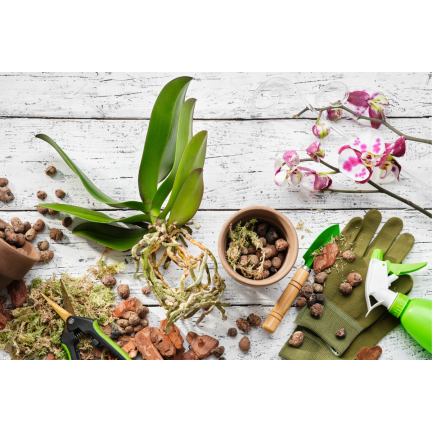 BIO8 přírodní substrát pro orchideje, 3 l, Biovita