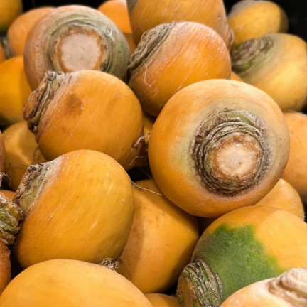 Jedlá řepa „Goudball“, semena řepy, žlutá, sladkastá dužina, toraf, 10 g