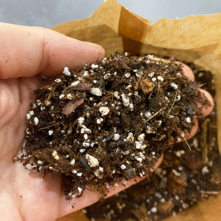 BIO26 EARTH BIGOS 8L lehký substrát pro pokojové rostliny v květináčích