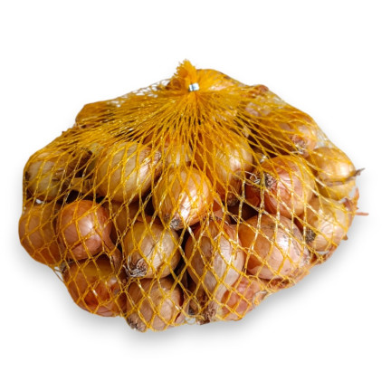 Jarní cibule z Wolska, velikost 8–15, 250 g cibulek
