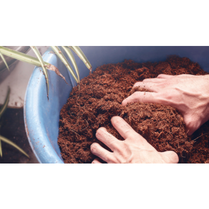 BIO16 biovita kokosová rašelina – kokosová vlákna, sypký substrát 0–10 mm, 5 l