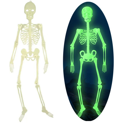 TG73003 halloweenská fluorescenční kostra