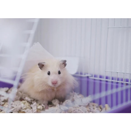 TG64359 rohová toaleta do klece pro králíka a morče, velká