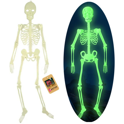 TG73003 halloweenská fluorescenční kostra