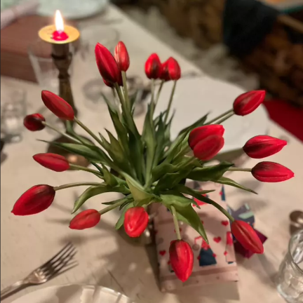 CV07588-10 jednoduchý tulipán, pogumovaný, červený, jako živý
