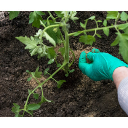 Organické hnojivo na rajčata, BIO granule, přírodní, Biovita 3 kg