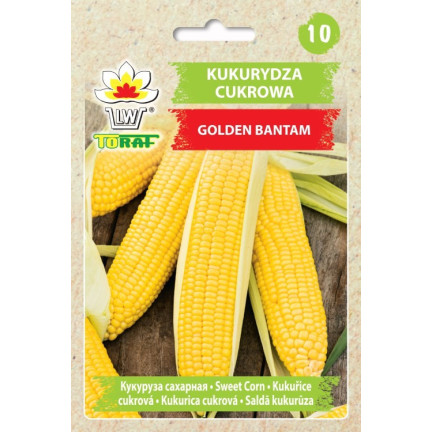 W1097 SEMÍNKA KUKUŘICE CANDY CORN GOLDEN BANTAM ORIGINAL SWEET 20G