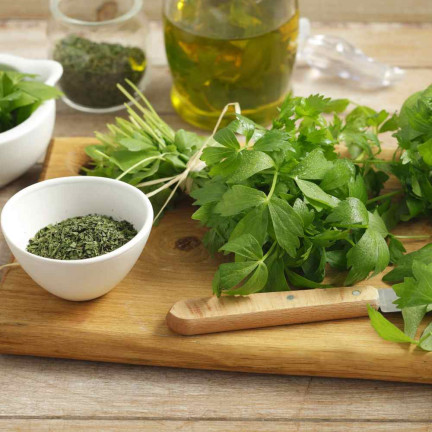 Z3017 LIBEČEK ZAHRADNÍ BYLINA SEMENO VYTRVALÉ KOŘENÍ AROMATICKÉ MAGI 1G