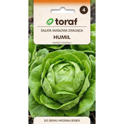 Zimní máslový salát, odrůda Humil, semena salátu, Toraf, 1 g