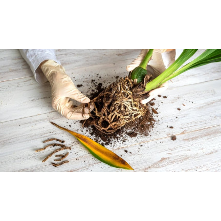 BIO8 přírodní substrát pro orchideje, 3 l, Biovita