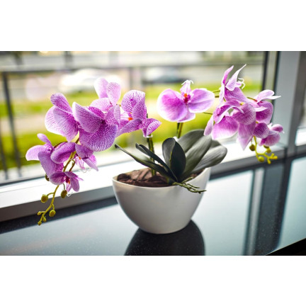 BIO8 přírodní substrát pro orchideje, 3 l, Biovita