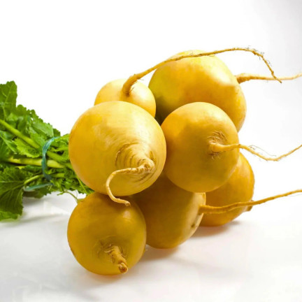 Jedlá řepa „Goudball“, semena řepy, žlutá, sladkastá dužina, toraf, 10 g