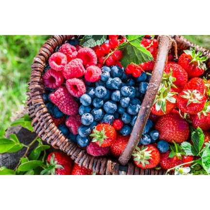 SUM77 – hnojivo Sumin pro jahody, lesní jahody, maliny a ostružiny, optimální složení, 1 kg