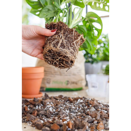 BIO26 EARTH BIGOS 8L lehký substrát pro pokojové rostliny v květináčích