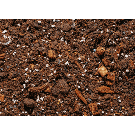 BIO26 EARTH BIGOS 8L lehký substrát pro pokojové rostliny v květináčích