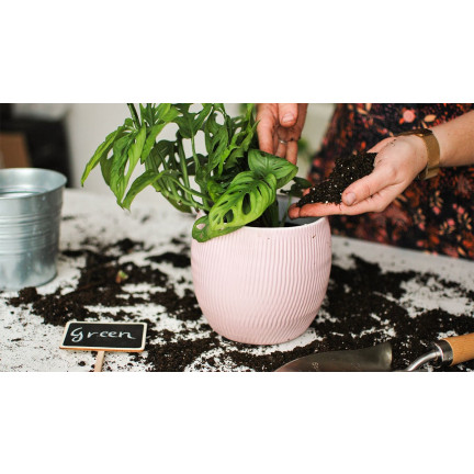 BIO15 – univerzální ekologická BIO zemina pro květiny a rostliny, 10 l, s hnojivem Biovita