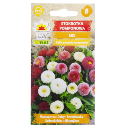 R3907 Sedmikráska pomponová – směs semen 0,1 g, barevné květy