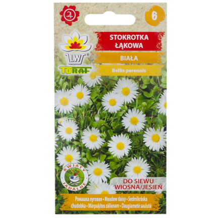 R4638 LUČNÍ SEDMIKRÁSKA BÍLÁ TRÁVNÍKOVÁ SEDMIKRÁSKA KVĚTINOVÁ SEMENA 0,2G