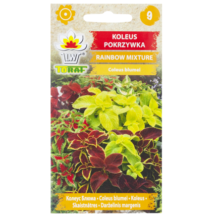 R6663 Koleus „Pokrzywka“ 0,2 g semen květin, směs „Rainbow Mixture“