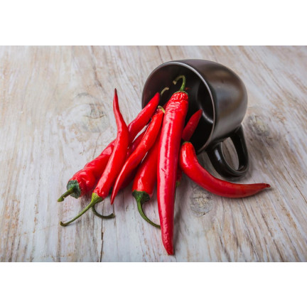 W1137 DE CAYENNE PÁLIVÁ CHILLI SEMÍNKA PÁLIVÁ 0,5G
