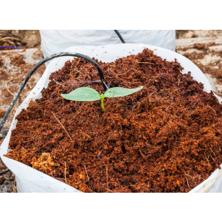 BIO16 biovita kokosová rašelina – kokosová vlákna, sypký substrát 0–10 mm, 5 l