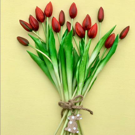 CV07588-10 jednoduchý tulipán, pogumovaný, červený, jako živý