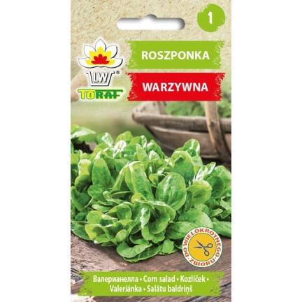 W1186 polníček zahradní, semena polníčku bohatá na vitamíny, salát 1 g