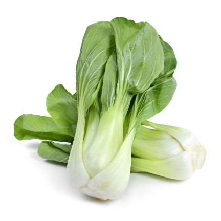 W3779 ČÍNSKÉ ZELÍ PAK CHOI 1G SEMENA ČÍNSKÉHO ZELÍ TORAF