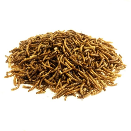 Sušené larvy moučky pro ptáky, krmivo s vysokým obsahem bílkovin, 125 g