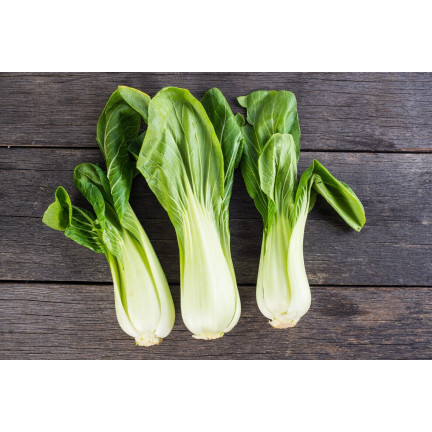 W3779 ČÍNSKÉ ZELÍ PAK CHOI 1G SEMENA ČÍNSKÉHO ZELÍ TORAF
