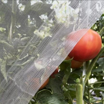 TG71990 ochranná síť proti hmyzu na záhony, chránící brukvovité rostliny, 2×50 m, 80 mesh