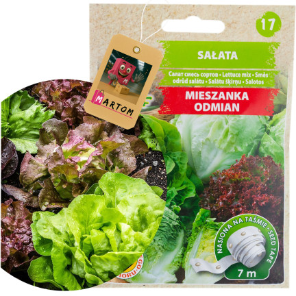 T3839 směs salátů různých odrůd, pás 7 m