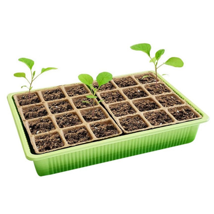 TG71428 MINI GLARNIA INSPEKT rašelinové květináče GROWER DISTRIBUTION 24 přihrádek + zásobník