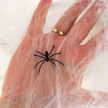 Umělá pavučina s pavouky, bílá, halloweenská dekorace, 22 g, 2 pavouci.