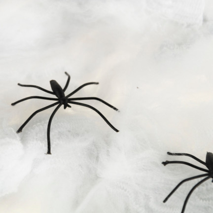 Umělá pavučina s pavouky, bílá, halloweenská dekorace, 22 g, 2 pavouci.