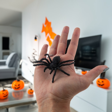 Umělé pavouky, černé, halloweenská dekorace, realistické, 6 ks/sada