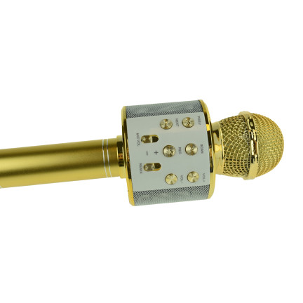 TG67276 bezdrátový karaoke mikrofon pro zpěv s reproduktorem a Bluetooth