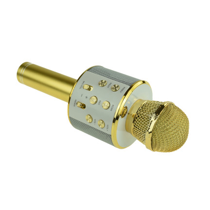 TG67276 bezdrátový karaoke mikrofon pro zpěv s reproduktorem a Bluetooth
