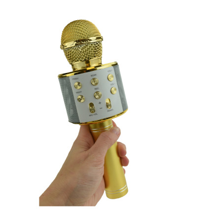TG67276 bezdrátový karaoke mikrofon pro zpěv s reproduktorem a Bluetooth