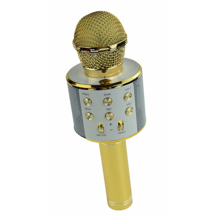 TG67276 bezdrátový karaoke mikrofon pro zpěv s reproduktorem a Bluetooth