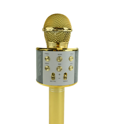 TG67276 bezdrátový karaoke mikrofon pro zpěv s reproduktorem a Bluetooth